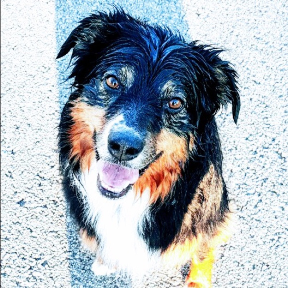 Meet your Posher, Kila
